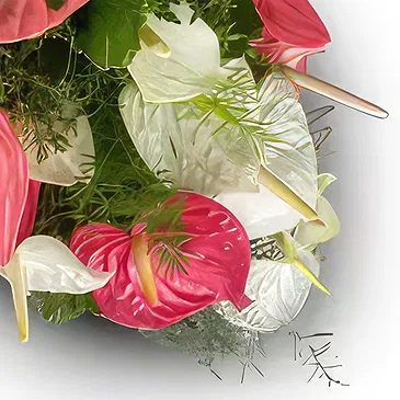 Nakorotubu blommor- Drömland Bukett/blomsterarrangemang