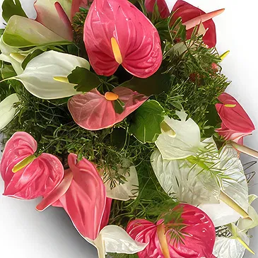 Nakorotubu blommor- Drömland Bukett/blomsterarrangemang