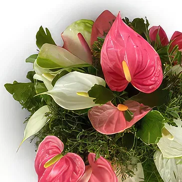 Nakorotubu blommor- Drömland Bukett/blomsterarrangemang
