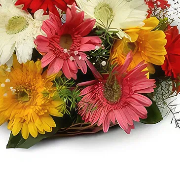Buangkok flowers  -  Sparkling Gerberas Flower Bouquet/Arrangement