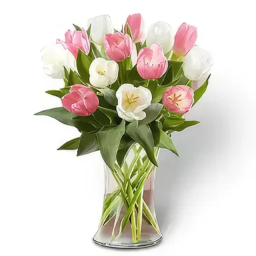 Buangkok flowers  -  Serene Bouquet Flower Bouquet/Arrangement