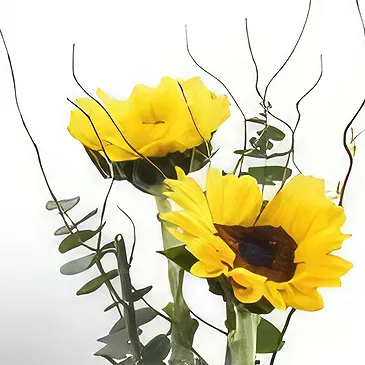 Buangkok flowers  -  Superior Pair of Sunflower Flower Bouquet/Arrangement