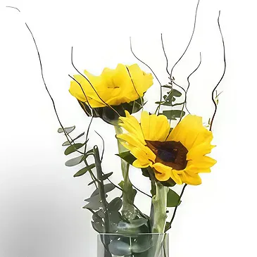 Buangkok flowers  -  Superior Pair of Sunflower Flower Bouquet/Arrangement