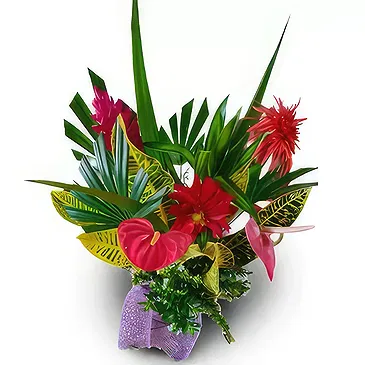Nakorotubu blommor- Kungligt val Bukett/blomsterarrangemang