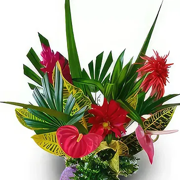 Nakorotubu blommor- Kungligt val Bukett/blomsterarrangemang