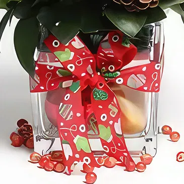Buangkok flowers  -  Merry Floral Pot Flower Bouquet/Arrangement