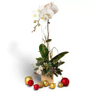 Buangkok flowers  -  Splendid Decorations Flower Bouquet/Arrangement