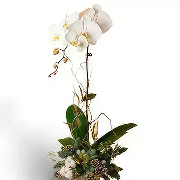 Buangkok flowers  -  Splendid Decorations Flower Bouquet/Arrangement