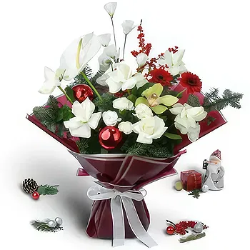Buangkok flowers  -  Smooth Attractiveness Flower Delivery