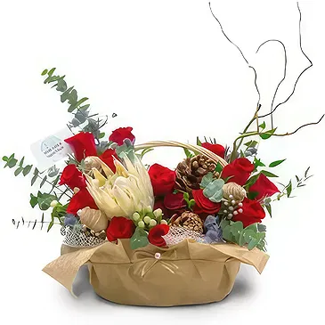 An-Najadah blomster- Vinter Blomsterarrangementer bukett