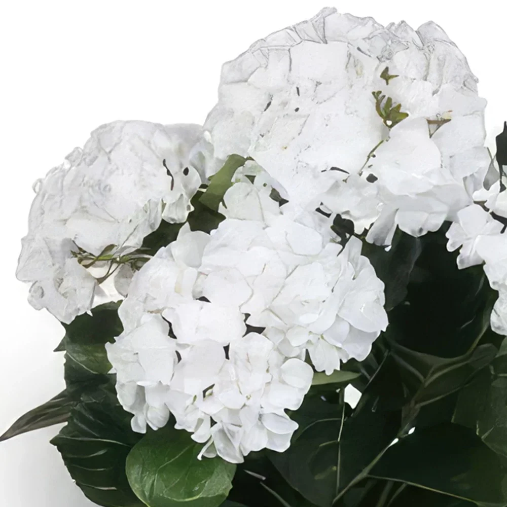 بائع زهور أوسلو- القبة البيضاء باقة الزهور