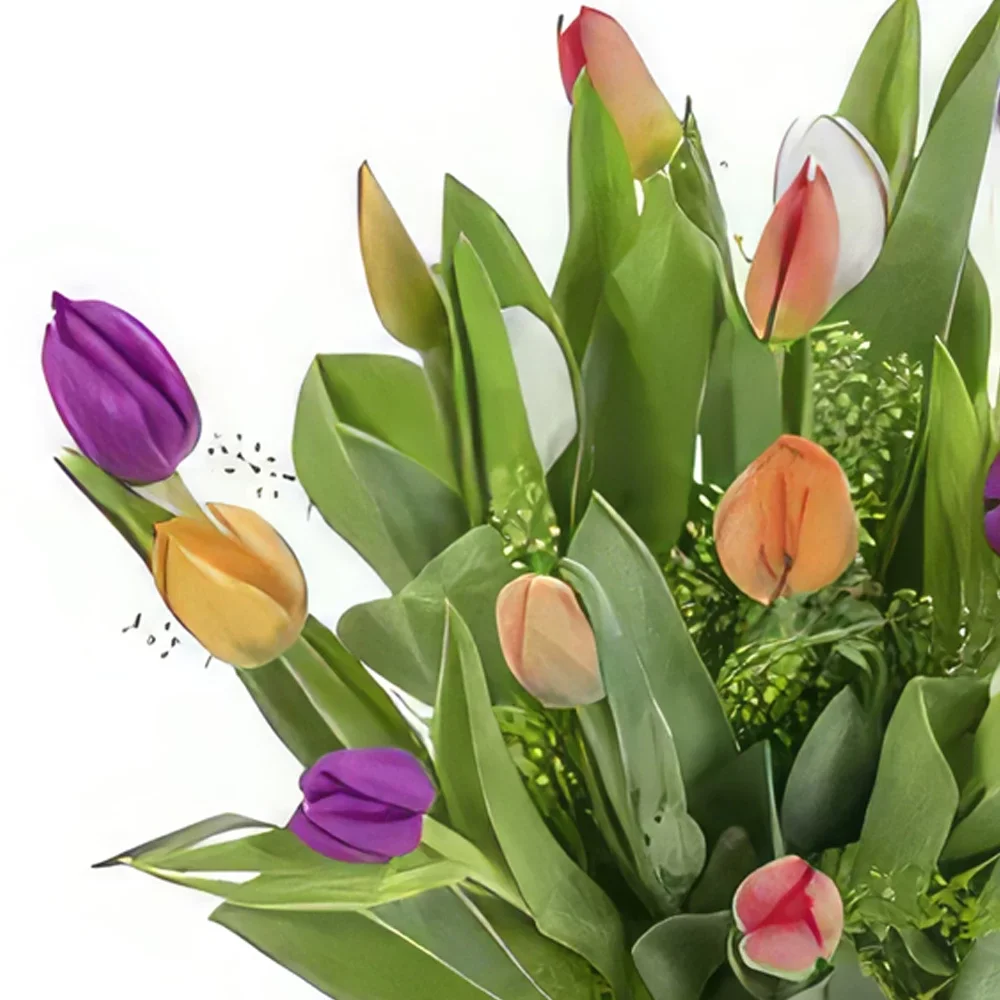 بائع زهور أوسلو- توليب فيوجن أنيق باقة الزهور