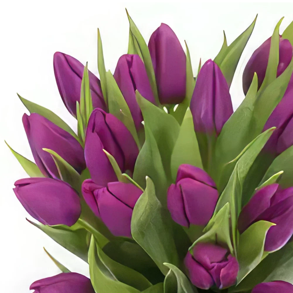 ดอกไม้ ออสโล - ไวโอเล็ต ทิวลิป เอลิแกนซ์ ช่อดอกไม้/การจัดวางดอกไม้
