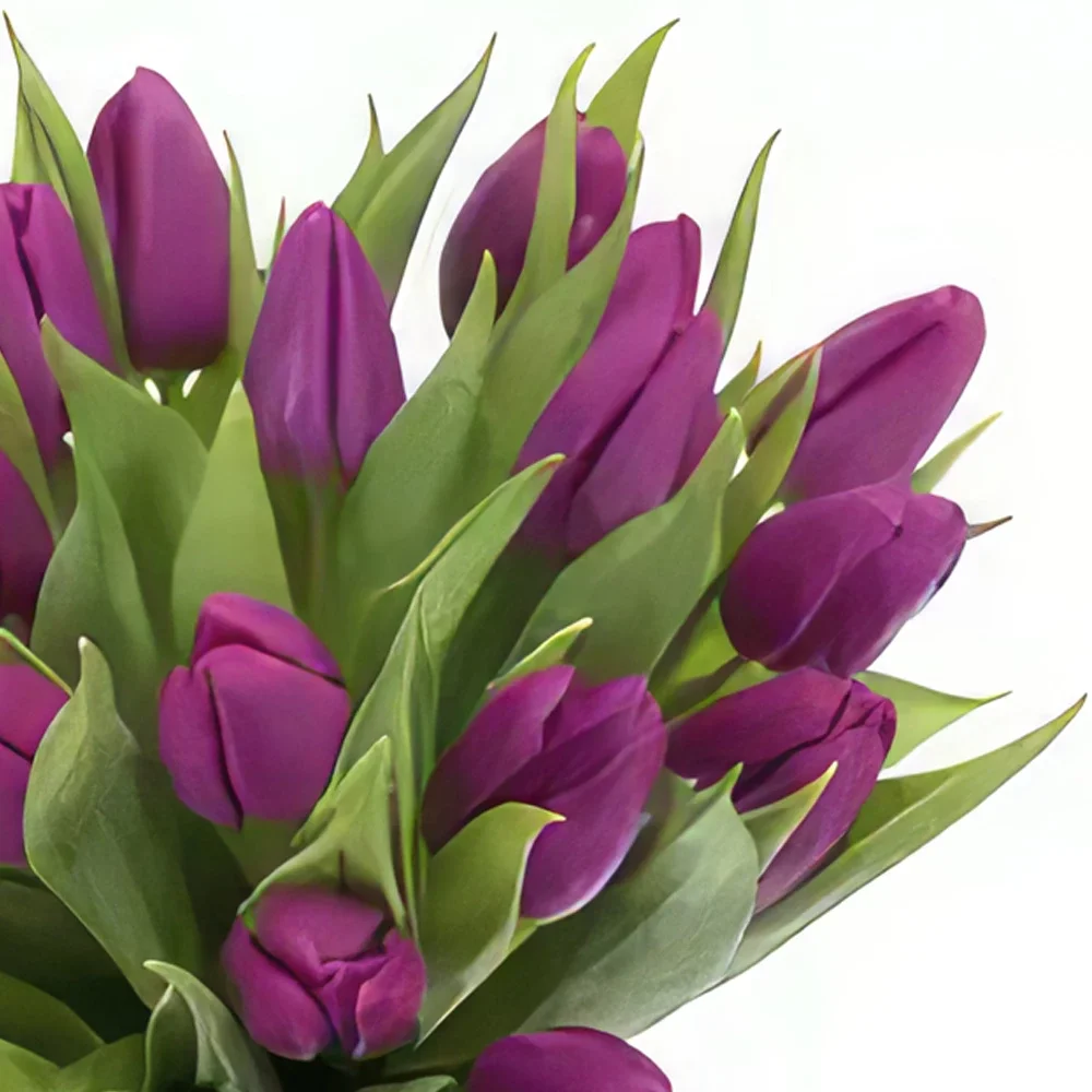 fleuriste fleurs de Oslo- Élégance tulipe violette Bouquet/Arrangement floral
