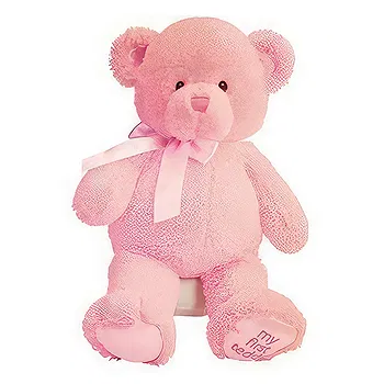fleuriste fleurs de Couva Central- Rose Ours En Peluche Fleur Livraison