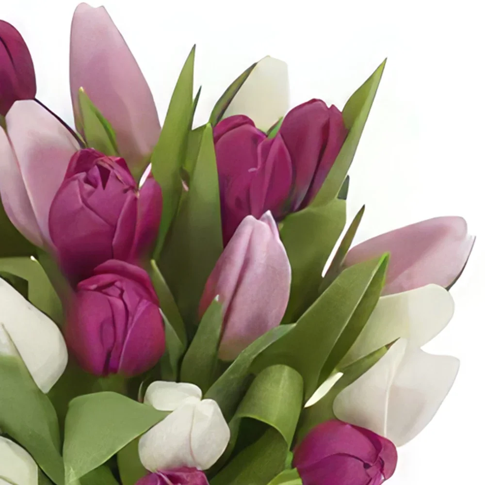 بائع زهور أوسلو- البتلة الوردي باقة الزهور