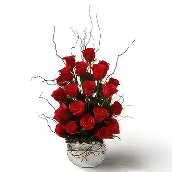 Buangkok flowers  -  Plan Red Flower Delivery