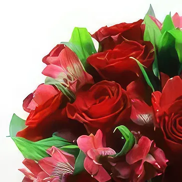Buangkok flowers  -  Affection Flower Bouquet/Arrangement