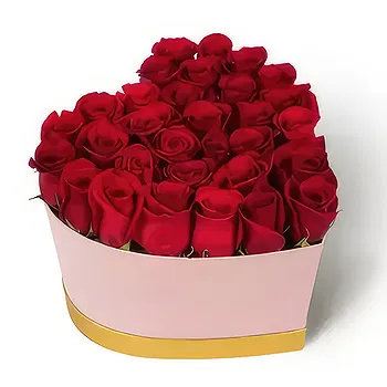 Buangkok flowers  -  soft spot  Flower Delivery