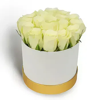Buangkok flowers  -  Soft Emotion Flower Delivery