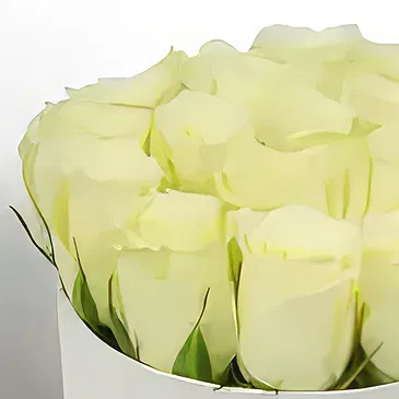 Buangkok flowers  -  Soft Emotion Flower Bouquet/Arrangement