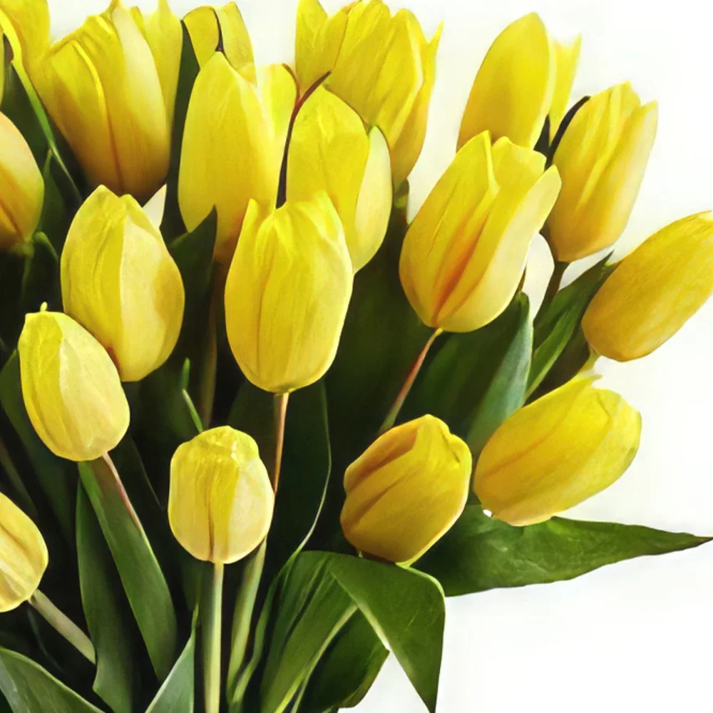 flores Braga floristeria -  Día maravilloso Ramo de flores/arreglo floral