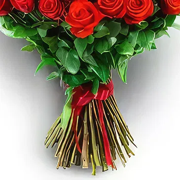 Adma flowers  -  Plan Red  Flower Bouquet/Arrangement