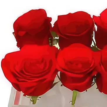 Adma flowers  -  Original Flower Bouquet/Arrangement