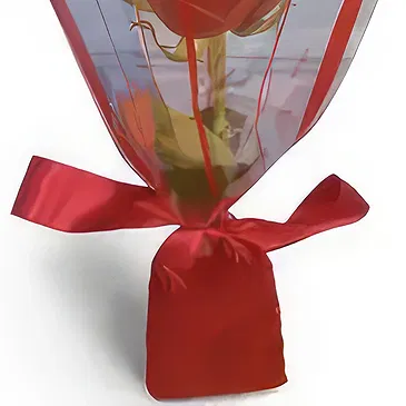 Adma flowers  -  Red  Gift  Flower Bouquet/Arrangement