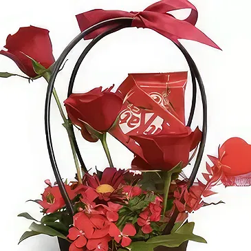 Adma flowers  -  Universe  Flower Bouquet/Arrangement