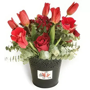 Adma flowers  -  Uniqueness Flower Delivery