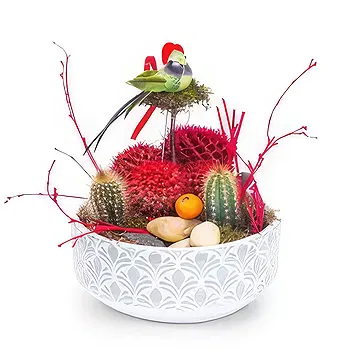 Ostra Stijena flowers  -  Green Oasis Flower Delivery