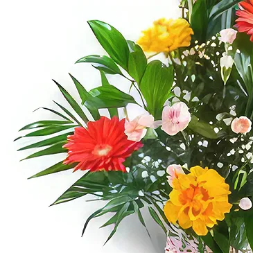Amiret Hajjaj flori- Garoafe galbene Buchet/aranjament floral