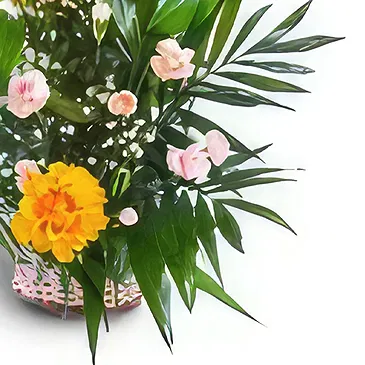 Amiret Hajjaj flori- Garoafe galbene Buchet/aranjament floral