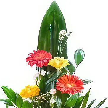 Amiret Hajjaj flori- Garoafe galbene Buchet/aranjament floral