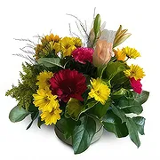 Speightstown Online Blumenhändler - Lebendiges Vergnügen Blumenstrauß