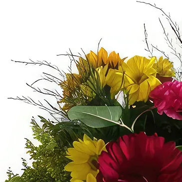 St. John flowers  -  Vibrant Delight Flower Bouquet/Arrangement
