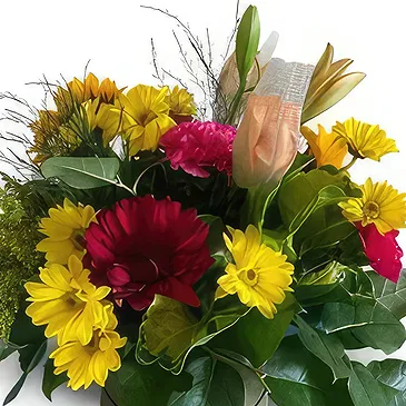 St. John flowers  -  Vibrant Delight Flower Bouquet/Arrangement