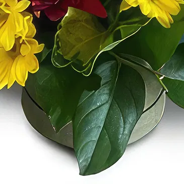 St. John flowers  -  Vibrant Delight Flower Bouquet/Arrangement
