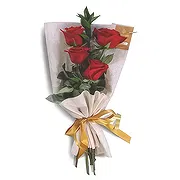 Rupa online Florist - Romantic Petals Bouquet