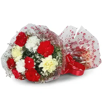 Palpa flowers  -  Fresh Flowers Delivery