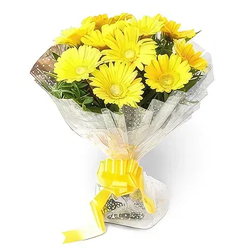 Palpa flowers  -  Bright Yellow Flower Delivery