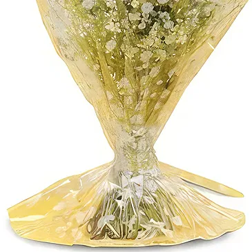 Nepal flowers  -  Simply Elegant Flower Bouquet/Arrangement