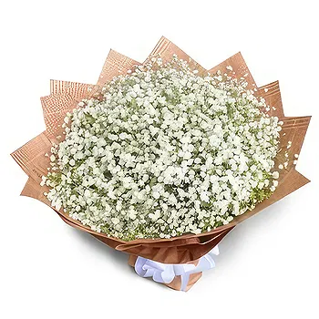 Palpa flowers  -  Great Impression Flower Delivery
