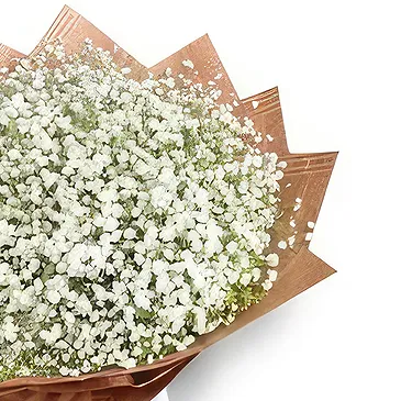 Chhededaha blomster- Flott inntrykk Blomsterarrangementer bukett