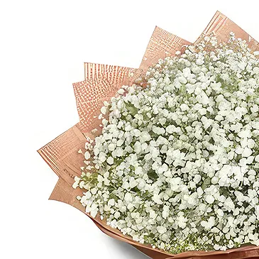 Chhededaha blomster- Flott inntrykk Blomsterarrangementer bukett