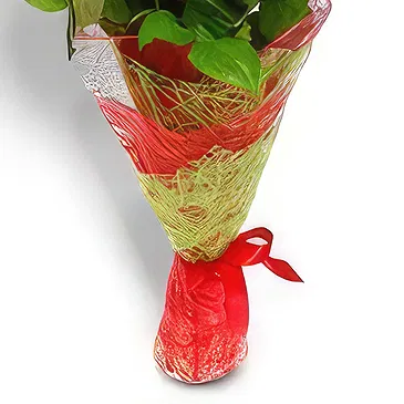 Nepal flowers  -  Love You Forever Flower Bouquet/Arrangement