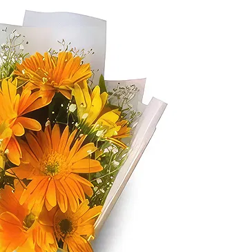 Nepal flowers  -  Golden Grace Flower Bouquet/Arrangement