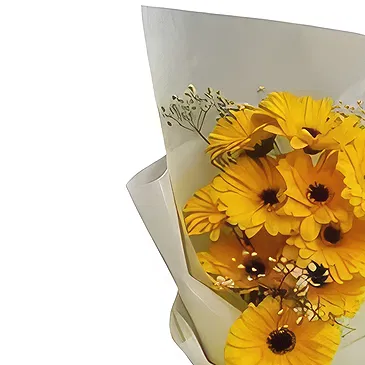 Nepal flowers  -  Stunning Beauty Flower Bouquet/Arrangement