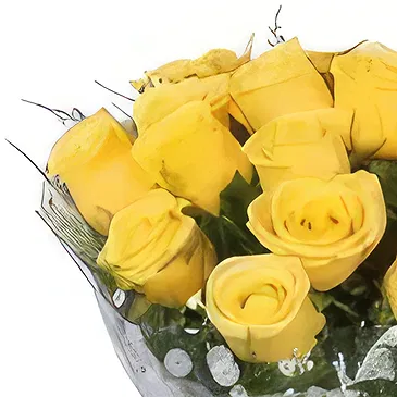 Nepal flowers  -  Graceful Roses Flower Bouquet/Arrangement